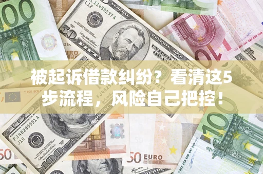 北京被起诉借款纠纷？看清这5步流程，风险自己把控！